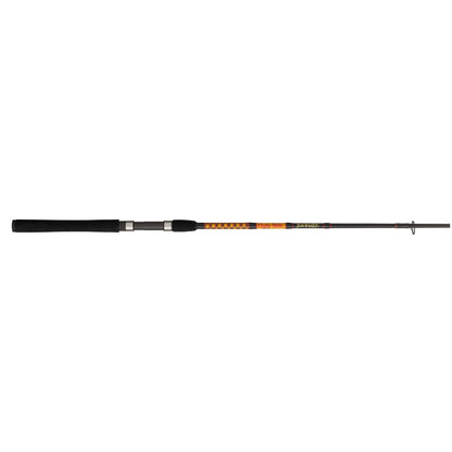 Bigwater 2-Piece Spinning Rod