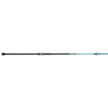 Carbon Surf Spinning Rod