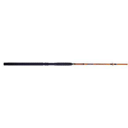 Catfish Special Spinning Rod